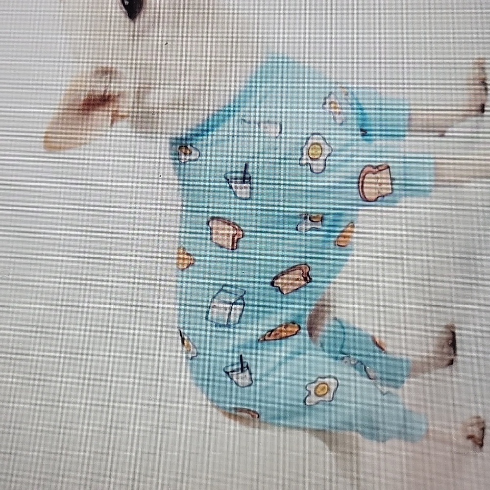 Spark Paws NWT Breakfast Blue Pajamas Sz M